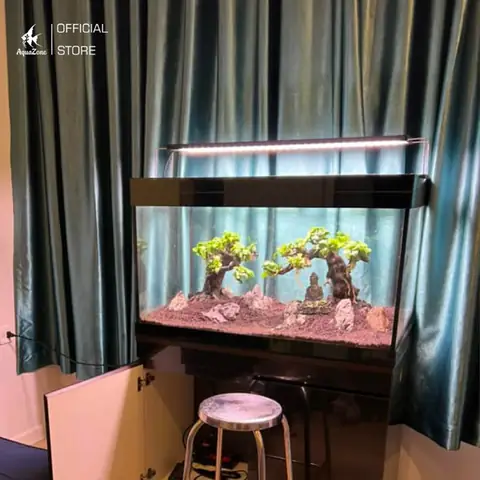 Chọn Bể Cá Phù Hợp