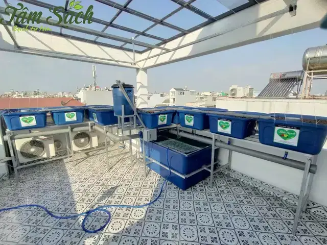 Chuẩn Bị Trước Khi Nuôi Cá Trên Tầng Thượng: Kế Hoạch Chi Tiết Chuẩn Bị Trước Khi Nuôi Cá Trên Tầng Thượng: Kế Hoạch Chi Tiết