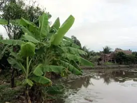 Những Điều Cần Lưu Ý Khi Nuôi Cá Ao - Báo Hà Giang Điện Tử Những Điều Cần Lưu Ý Khi Nuôi Cá Ao - Báo Hà Giang Điện Tử