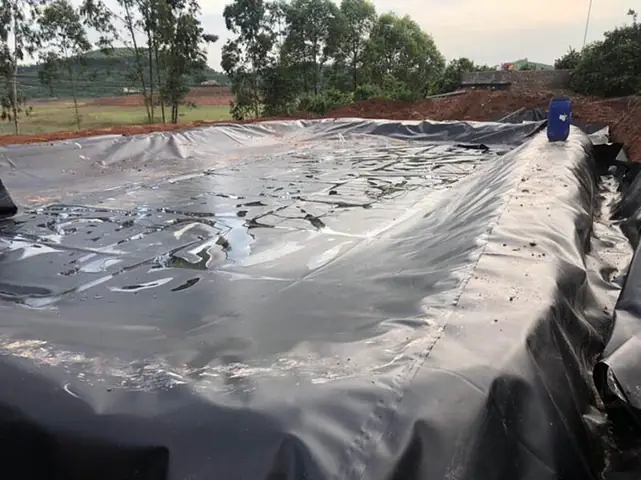 Chăm Sóc Và Quản Lý Ao Nuôi