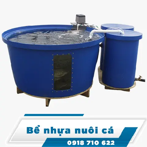 Bể Nhựa Nuôi Cá Tại Hà Nội - Mtv Plastic