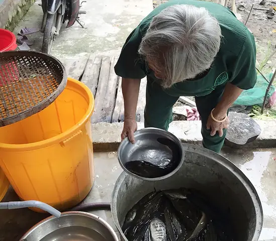 Đào Mương Trong Vườn Cây Ăn Trái, Vừa Trữ Nước Vừa Nuôi Cá Đồng, Bắt Được Con Nào Nhiều Người Tranh Nhau Mua - Ảnh 2. Đào Mương Trong Vườn Cây Ăn Trái, Vừa Trữ Nước Vừa Nuôi Cá Đồng, Bắt Được Con Nào Nhiều Người Tranh Nhau Mua - Ảnh 2.