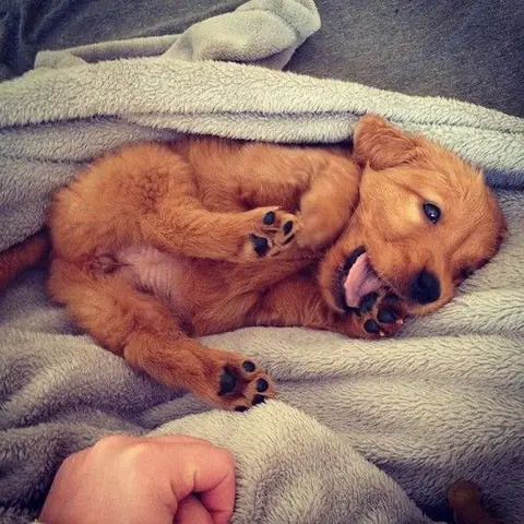 86d02265e0f87e74c956b8e82ebd252d