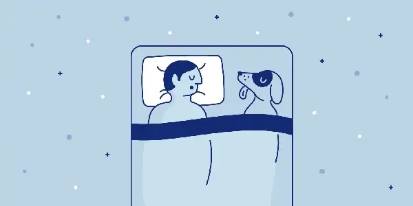 Chú Chó Có Thể Làm Phiền Giấc Ngủ Của Bạn