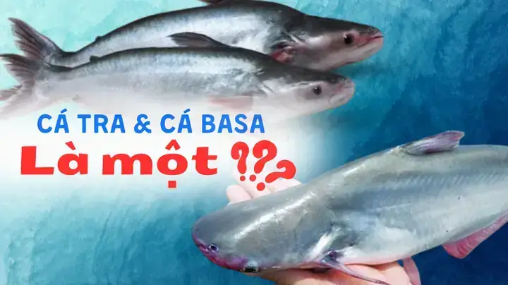 Hỗ Trợ Sức Khỏe Mắt