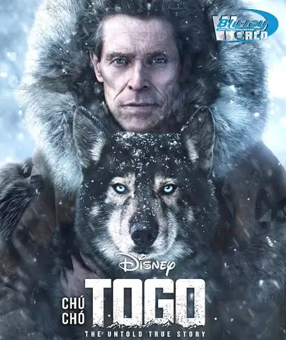 Những Bộ Phim Về Chú Chó Kéo Xe: Hành Trình Cảm Xúc Và Phiêu Lưu Nơi Tuyết Trắng Những Bộ Phim Về Chú Chó Kéo Xe: Hành Trình Cảm Xúc Và Phiêu Lưu Nơi Tuyết Trắng