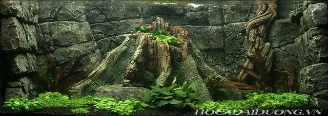 Phông Hồ Cá 3d: Hướng Dẫn Chi Tiết Chọn Mua, Dán Và Bảo Quản