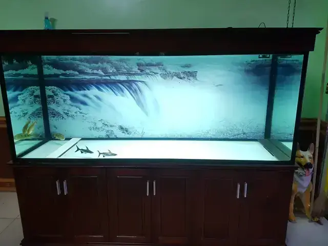 Để Bọt Khí Khi Dán Decal