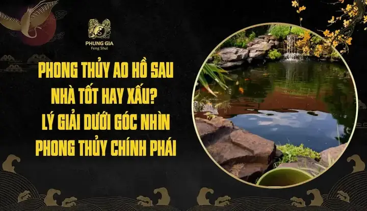 Phong Thủy Ao Cá Sau Nhà: Nên Hay Không Và Cách Bố Trí Chuẩn Nhất