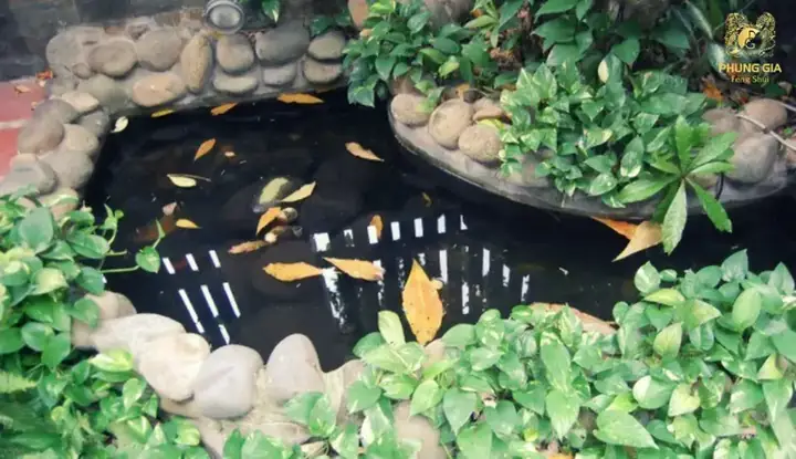 Tổng Quan Về Phong Thủy Ao Hồ Sau Nhà