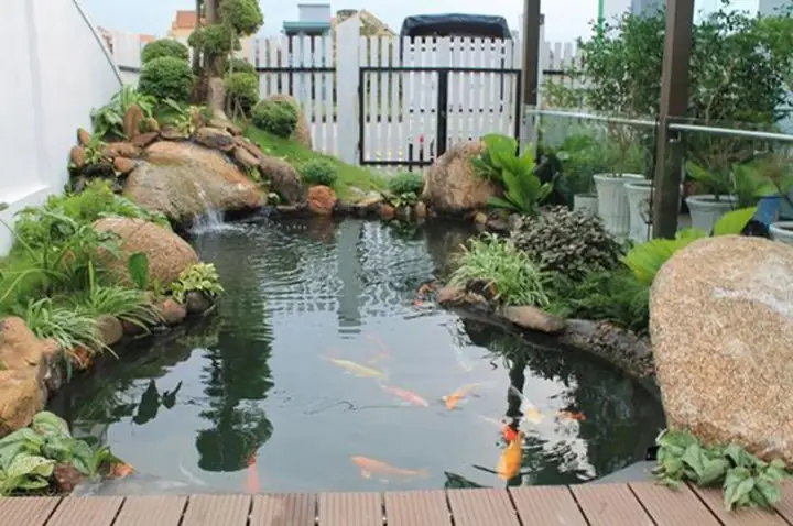 Những Điều Kiêng Kỵ Khi Xây Ao Cá