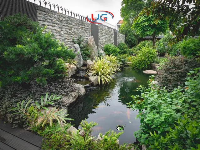 Phong Thủy Hồ Cá Sân Vườn