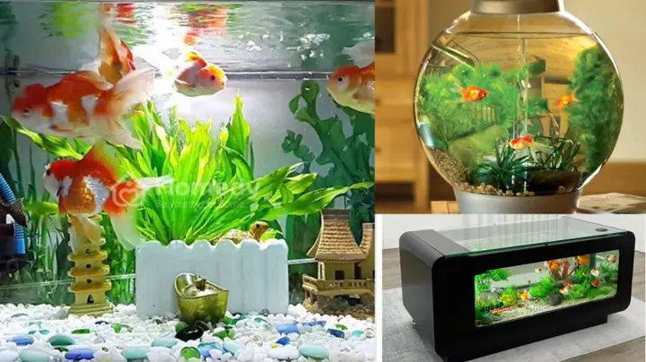 Tôm Tươi Đem Ướp Với Loại Gia Vị Này, Bảo Quản Tủ Lạnh Cả Tháng Vẫn Ngon, Chắc Thịt