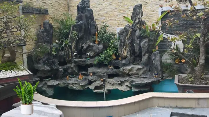 Cá Cảnh Có Ý Nghĩa Phong Thủy Đặc Biệt