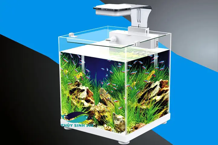 Phụ Kiện Bể Cá Mini Phụ Kiện Bể Cá Mini