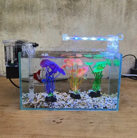 Phụ Kiện Bể Cá Mini Phụ Kiện Bể Cá Mini