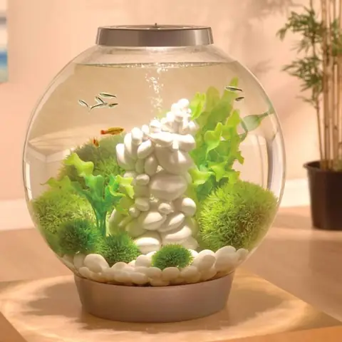 Bể Cá Tròn Để Bàn Bể Cá Tròn Để Bàn