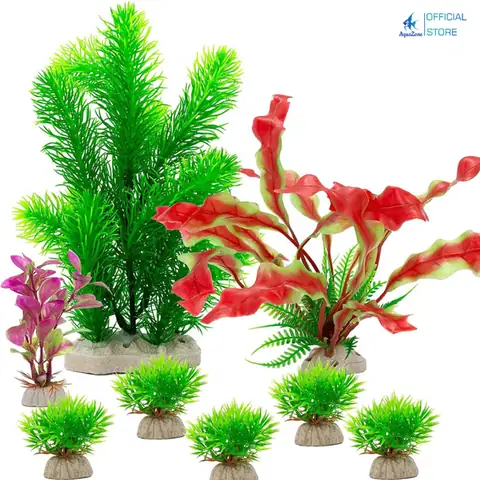 Phụ Kiện Cá Cảnh Hcm: Hướng Dẫn Chọn Nguồn Sỉ Uy Tín & Giá Tốt