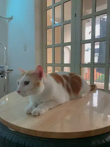 Phù Hợp Với Nhu Cầu, Kích Thước Và Ngân Sách