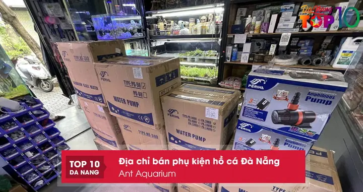 Ant Aquarium