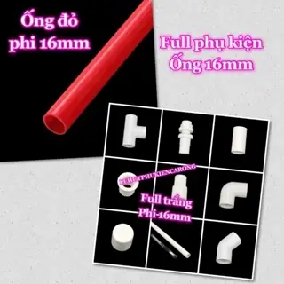 Phụ Kiện Hồ Cá Rồng: Danh Sách Chi Tiết Và Lợi Ích Cốt Lõi