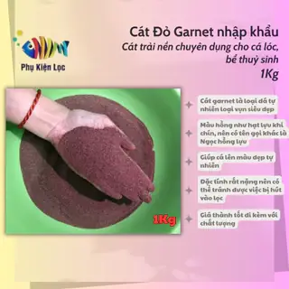 Phụ Kiện Lọc Bể Cá: Hướng Dẫn Chi Tiết Từ A-z Cho Người Mới Bắt Đầu