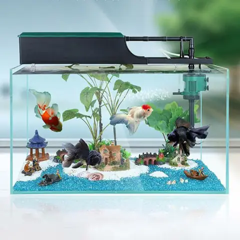 Phụ Kiện Lọc Bể Cá: Hướng Dẫn Chi Tiết Từ A-z Cho Người Mới Bắt Đầu