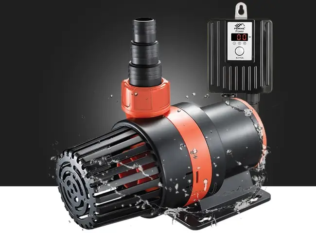 Phụ Kiện Lọc Nước Hồ Cá Koi: Hướng Dẫn Chi Tiết Từ A Đến Z Cho Người Mới Bắt Đầu