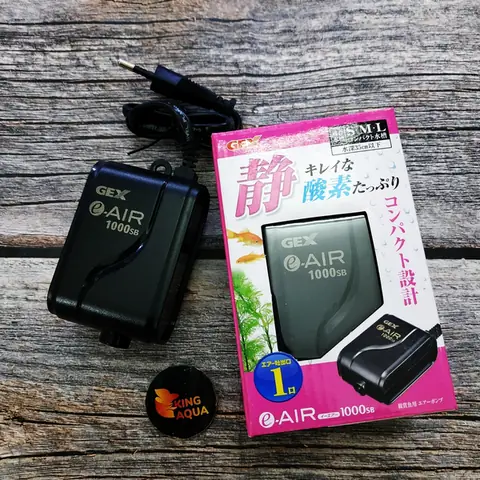 Các Loại Phụ Kiện Nuôi Cá Cảnh Thông Thể Thiếu