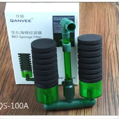 Các Loại Phụ Kiện Nuôi Cá Cảnh Thông Thể Thiếu