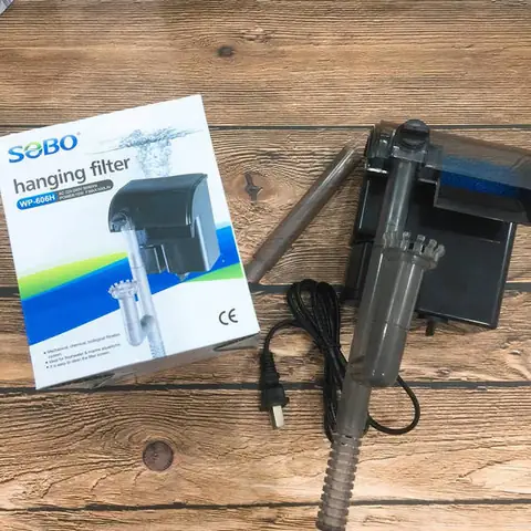 Các Loại Phụ Kiện Nuôi Cá Cảnh Thông Thể Thiếu