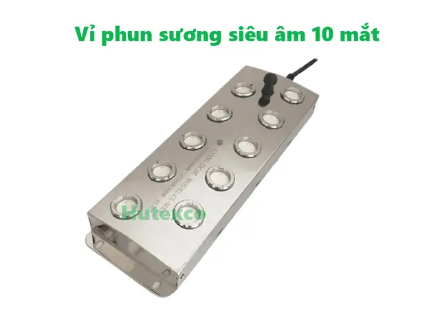 Vỉ Phun Sương Siêu Âm