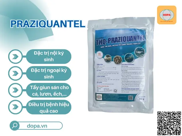 Praziquantel Cho Cá Koi