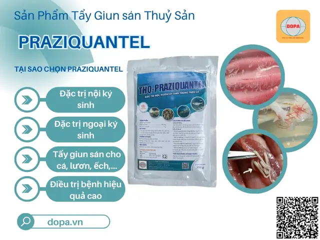 Praziquantel Cho Cá Koi