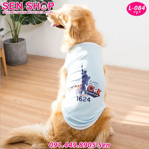 Xem Chi Tiết Hình Ảnh Quần Áo Cho Chó Golden Xem Chi Tiết Hình Ảnh Quần Áo Cho Chó Golden