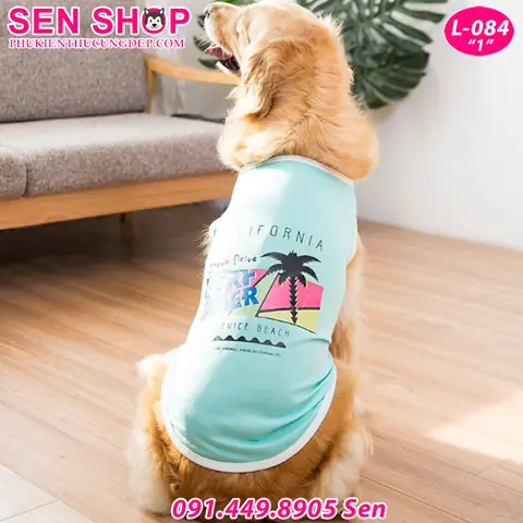 Xem Chi Tiết Hình Ảnh Quần Áo Cho Chó Golden Xem Chi Tiết Hình Ảnh Quần Áo Cho Chó Golden