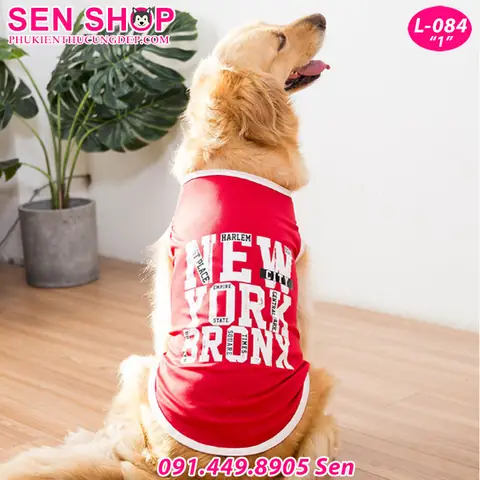 Quần Áo Cho Chó Golden Dành Cho Bé Từ 15kg Đến 80kg Quần Áo Cho Chó Golden Dành Cho Bé Từ 15kg Đến 80kg