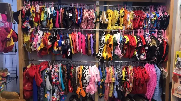 Quần Áo Cho Chó Mèo Giá Rẻ Tại Hà Nội.