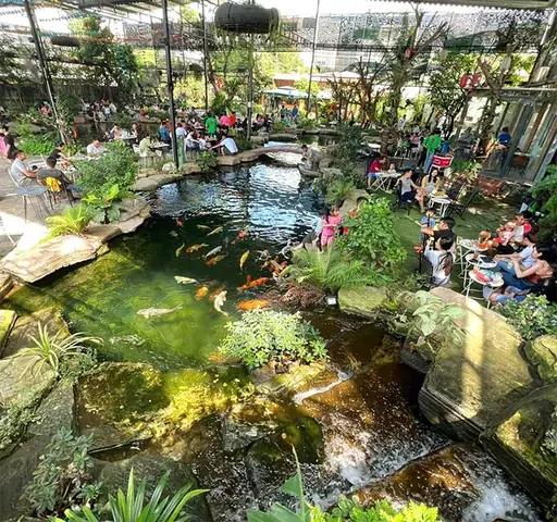 Quán Cà Phê Cá Koi Biên Hoà: Trải Nghiệm Không Gian Thư Giãn Độc Đáo