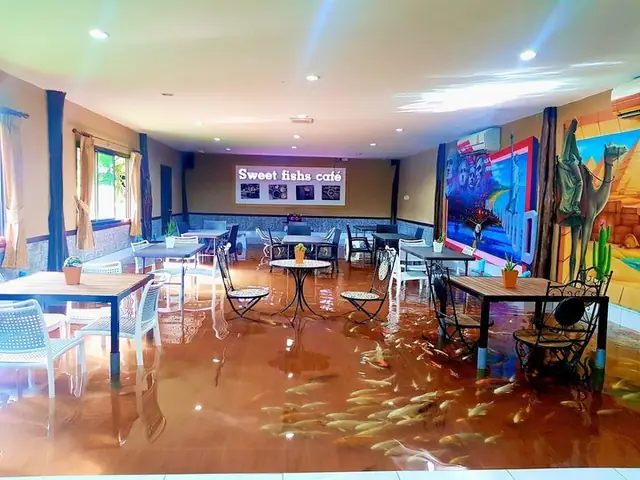 Thành Phố Khanom, Thái Lan - Địa Điểm Hiếm Hoi Trên Thế Giới Bạn Vừa Có Thể Thưởng Thức Cốc Cà Phê Vừa Được Ngắm Những Con Cá Koi Bơi Lội Dưới Chân.