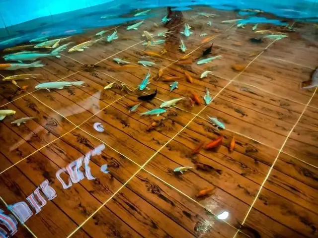 Thành Phố Khanom, Thái Lan - Địa Điểm Hiếm Hoi Trên Thế Giới Bạn Vừa Có Thể Thưởng Thức Cốc Cà Phê Vừa Được Ngắm Những Con Cá Koi Bơi Lội Dưới Chân.