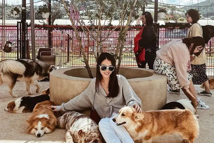 Trải Nghiệm 8 Quán Cafe Thú Cưng Tại Đà Nẵng Được Săn Lùng