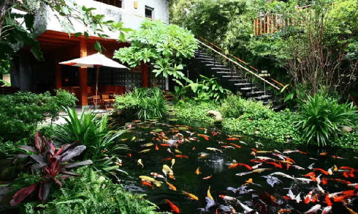 Nia Coffee – Quán Cafe Có Hồ Cá Đẹp Ở Đà Nẵng