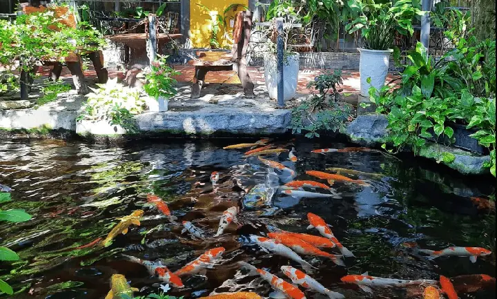 Verona Cafe & Restaurant