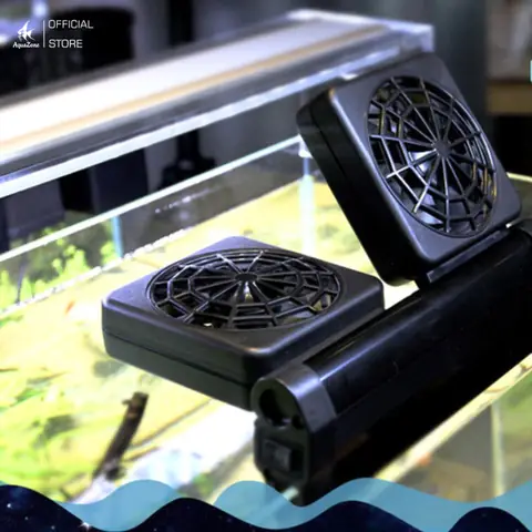 Tại Sao Cần Sử Dụng Quạt Làm Mát Cho Bể Cá? Tại Sao Cần Sử Dụng Quạt Làm Mát Cho Bể Cá?