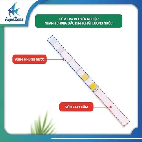 Que Sưởi Bể Cá: Hướng Dẫn Sử Dụng An Toàn & Hiệu Quả Nhất