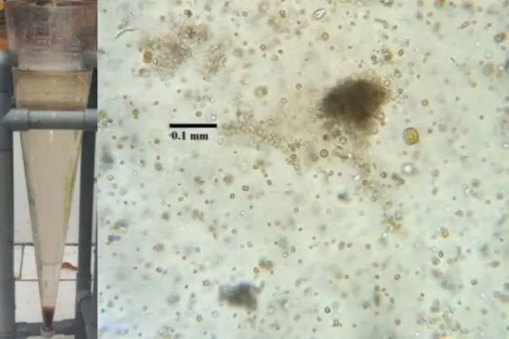 Bằng Phương Pháp Hóa Dược