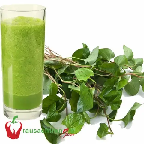 Rau Sạch Cá Sạch