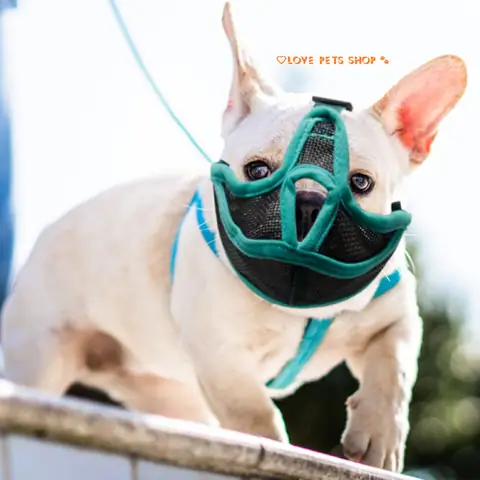 Rọ Mõm Cho Chó Pug