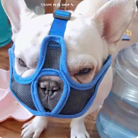 Rọ Mõm Cho Chó Pug